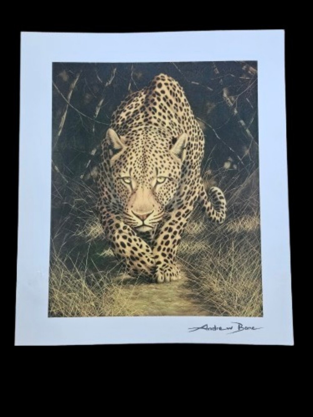 Andrew Bone Wildlife Artist seriolithograph on archival paper "African Mystique"